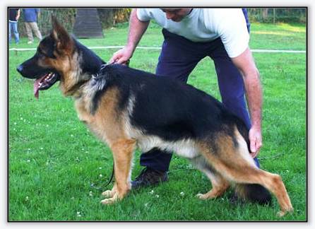 Neros vom Hühnegrab