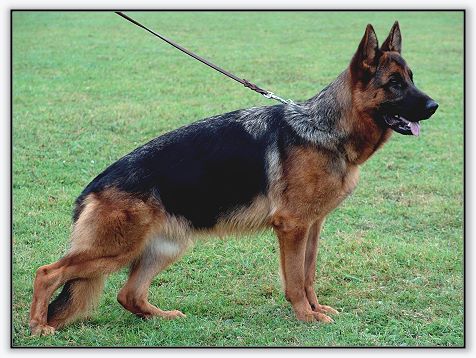 Visie vom Hühnegrab