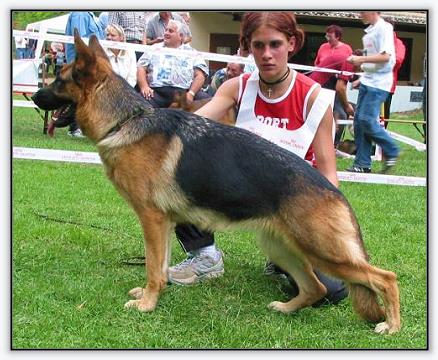 Enkie vom Hühnegrab