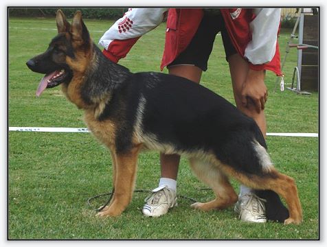 Berti vom Hühnegrab