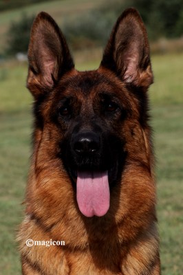 Quepsi vom Team Hühnegrab