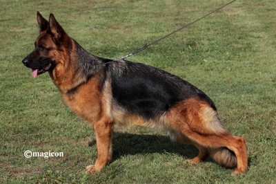 Quepsi vom Team Hühnegrab