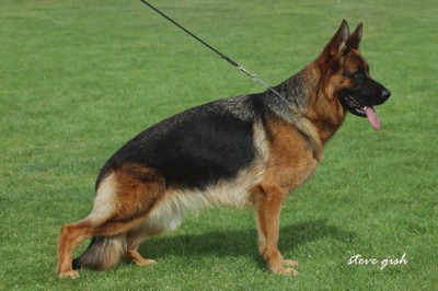 Isar vom Team Hühnegrab